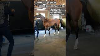 Attach YouTube