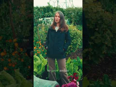 Grow 100kg Veg in 10sqm: The Ultimate Gardening Challenge