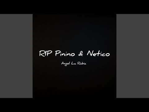 Rip Pinino & Netico