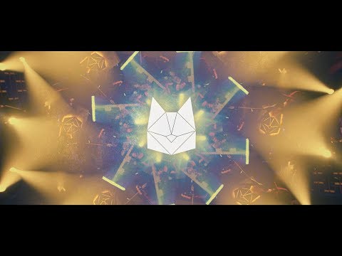 Pneu video