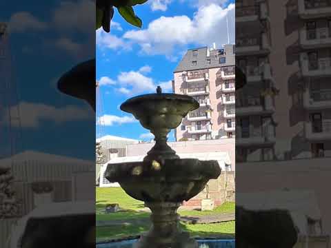 Casa Furniel De Monumento Histórico a Cenizas y su Renacer en Río Bueno