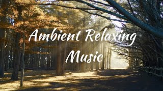 Ambient Relaxing Music | Music for Calming mind, Stress relief and Focus @hdmusic4life4