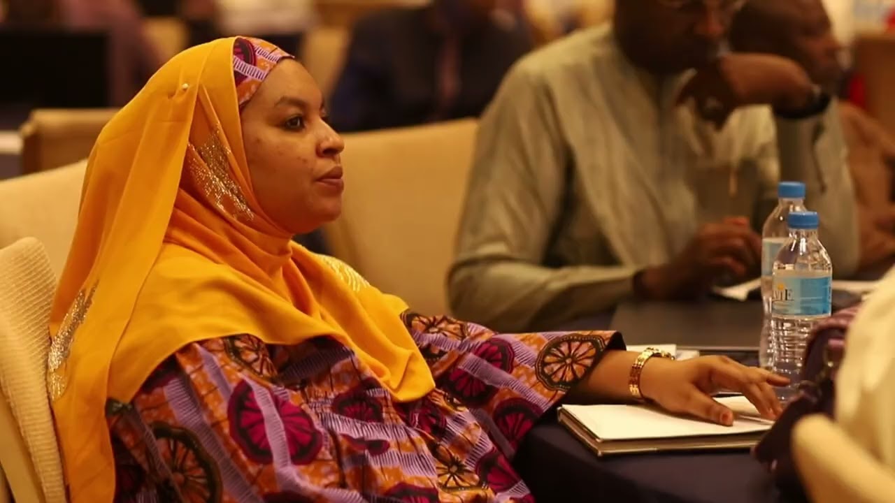 Validation Workshop on Strengthening Domestic Resource Mobilization in Niger