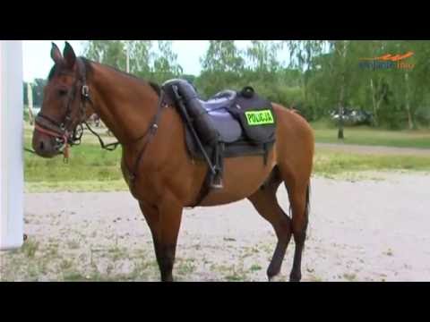 „Bunio” i „Pikador” na Paprocanach