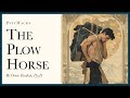 The Plow Horse How Marriage Uses Men