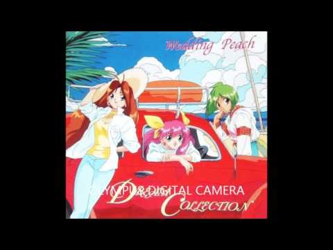 Ai Tenshi Densetsu Wedding Peach DX Kisetsu ga Kureta Jewel FURIL