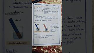 😍Best Science portfolio class 7 #stmary #studentproject #portfolio #class7 #science #shorts #viral
