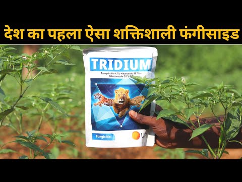 UPL TRIDIUM Fungicide