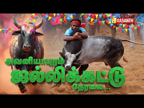 Avaniyapuram Jallikattu 2026 | அவனியாபுரம் ஜல்லிக்கட்டு நேரலை | Pongal Bulls Taming | Vasanth TV