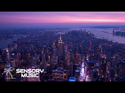 Paul Schulze & Adaptiv feat. AISHA - Leave Get Out