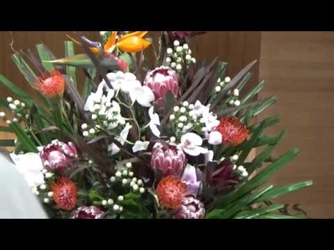 Biserica Filadelfia Cluj - Aniversare 20 de ani part 1 din 3 - 2019 07 28