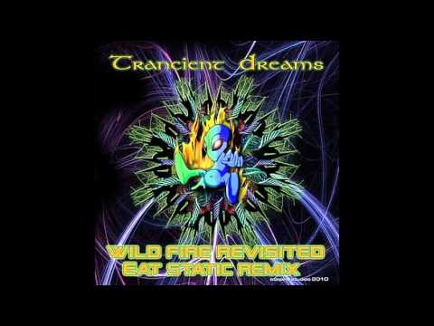 Trancient Dreams - Wildfire Revisited (Eat Static Remix)