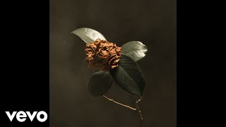 St. Paul &amp; The Broken Bones - Apollo (Audio)