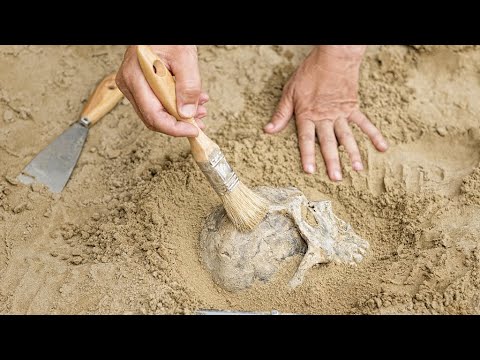 Live: Is Shaanxi's Jiangcun Village Tomb the real mausoleum of Emperor Wendi in Han Dynasty?