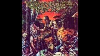 Jungle rot - deadly force (guitar cover)