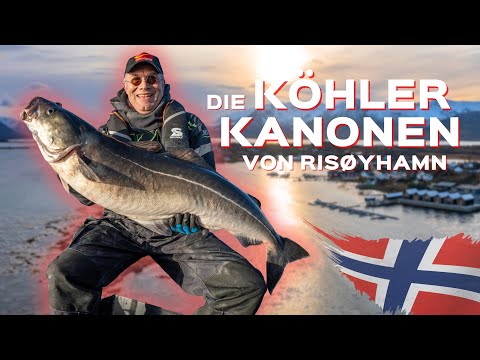 Angeln in Norwegen: Risøyhamn Sjøhus - Dickdorsch und Großköhler am legendären Andfjord