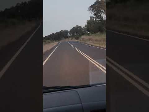 Kandepan Vii Kings - Lewa Kondo