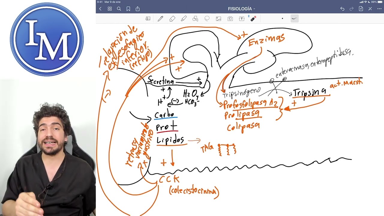 Digestión y absorción de lípidos