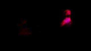 Boondox GOTJ 07 -Sippin&#39; On Down