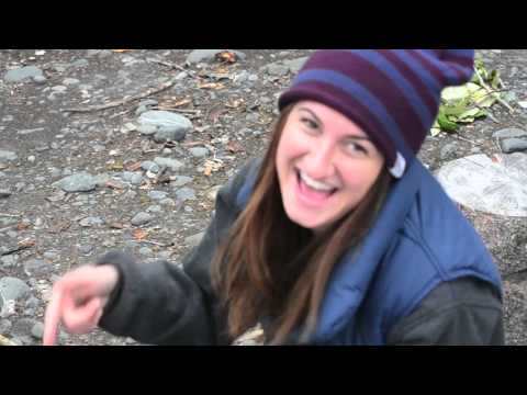 The Alaskan Frontier