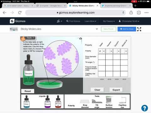 Lab Instructions Sticky Molecules Gizmo
