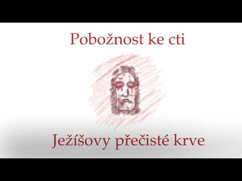 Pobožnost ke cti Ježíšovy přečisté krve (sv. Brigita; 12 let; modlitba od 1:40)❤️🙏🏻