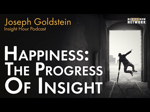Joseph Goldstein on Happiness: The Progress of Insight – Insight Hour Ep. 162