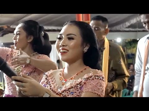 OMAH GUBUK, PRONO CITRO - TAYUB GIYANTINI CS | BEKSAN TAYUB GROBOGAN GIYANTINI CS ARUM LARAS