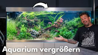 So wirkt das Oase Highline 600 größer – aber lohnt es sich?
