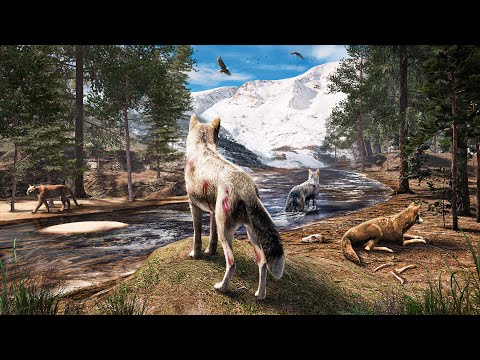 I Survive the Wild as a Wolf... And Found a Pack! - YouTube