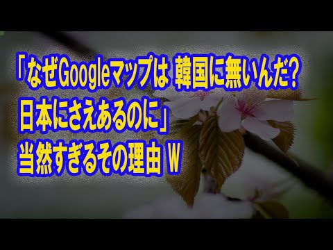 "Por que o Google Maps não pode ser usado em países vizinhos? Está disponível até no Japão. Você vai se perder, certo?" → O motivo óbvio