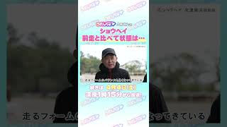 大阪杯 GⅠ トレセン直撃取材！　#競馬 #大阪杯 #ショウヘイ #友道康夫 調教師