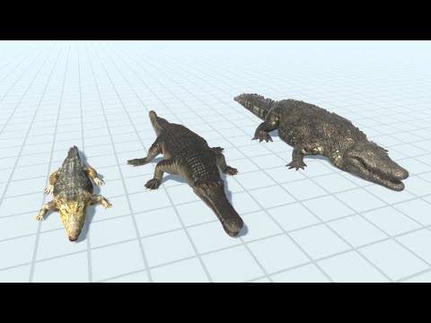 ALL CROCODILES vs EVERY UNIT - Animal Revolt Battle Simulator