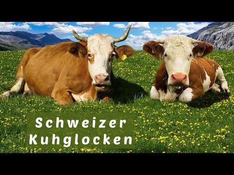 Kuhglocken Sound, Entspannung, Alm Atmosphäre aus der Schweiz