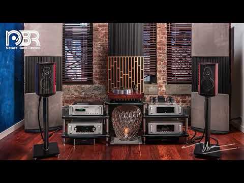 Hi End Sound Test Speaker 24 Bit - Super Audio CD Edition - Natural Beat Records