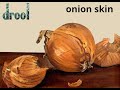 Drool Onion Skin 1994 Edmonton Band Alt Metal