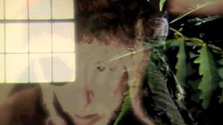 Momus: Going For A Walk With A Line