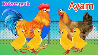 Download lagu KUKURUYUK - Lagu Anak Populer - Lagu Anak Lucu Terbaru mp3