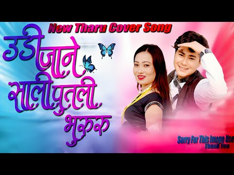 Udi Jane Sali Putali Bhururu - Tharu  Nepali Mix Song Cover Song