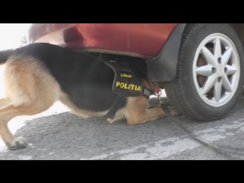 euronews reporter - Romanians angry at Schengen 'double standards'