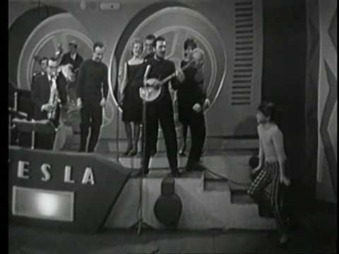Waldemar Matuška - Kočka na okně