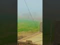 Ghugh Chakwal Pakistan Fog Shorts Fog