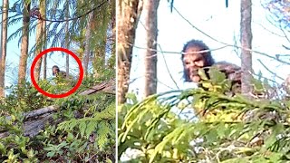 A British Columbia Woman Posted On A Hiking Group The Clearest Images Of A Bigfoot Ever Taken