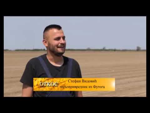 REC POVRTARA STEFAN VIDOVIC IZ FUTOGA