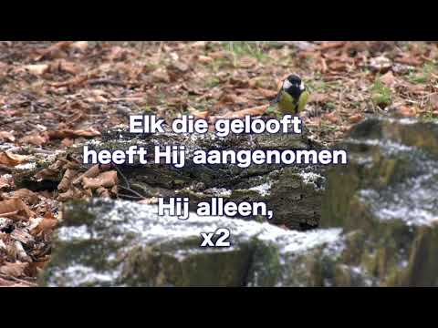 Opwekking 588 Er is geen vriend zo trouw