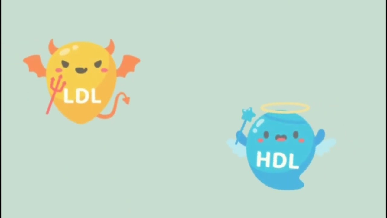 Experiência de aprendizagem segundo bimestre da disciplina de biociências médicas