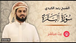 رعد الكردي || سورة البقرة كاملة ومكتوبة