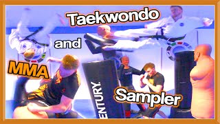 Taekwondo & MMA Sampler | Ginger Ninja Trickster