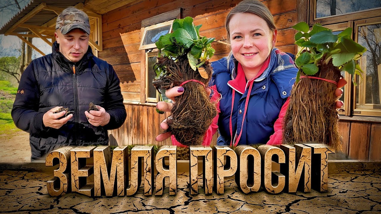 В ДЕРЕВНЕ весной работают с ЗЕМЛЕЙ! НОВОСТИ с ХУТОРА. Чем ОБРАБОТАТЬ САД и КА?