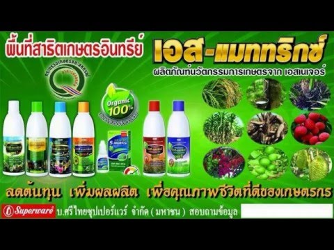 คืออะไรในอวัยวะเพศสิวสีขาวขนาดเล็ก นำแฟน